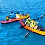 Deluxe Turtle Snorkeling Escapade at Waikiki - FAQ About the Deluxe Turtle Snorkeling Escapade