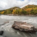 Denali Photo Excursion - The Flexibility and Cancellation Policy