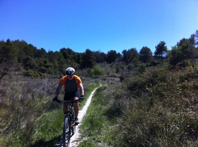 Dénia: Electric Mountain Bike Tour around Montgó - The Sum Up