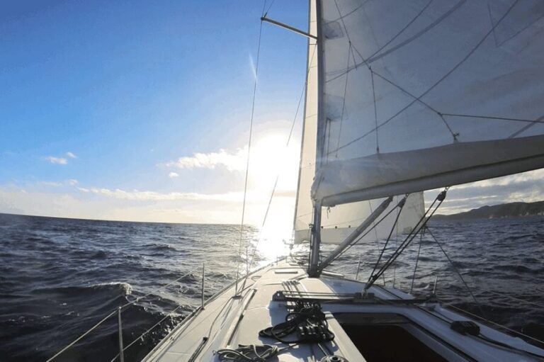Denia: Sunset Electric Sailboat Cruise with Dolphin Spotting - Who Will Love This Tour?