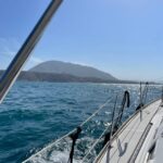 Denia: Whale and Dolphin Watching Morning Experience - The Value for Money and Practical Considerations