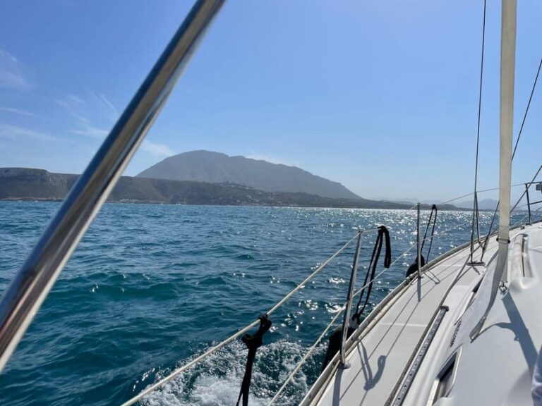 Denia: Whale and Dolphin Watching Morning Experience - The Value for Money and Practical Considerations