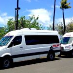 Departure Shuttle: Hotels&Private Residences to Kahului Airport(OGG)-Maui Island - The Experience: What You’re Likely to Encounter