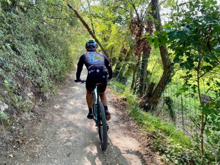 Desenzano: e-Bike Tour with Wine Tasting - The Stops and Highlights