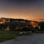 Desenzano: Lugana Wine-Tasting and Vineyard Tour - Is It Worth the Price?