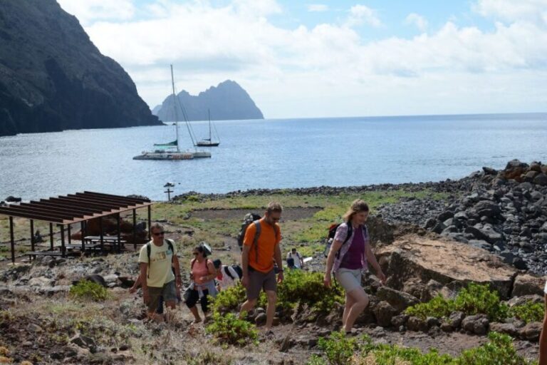 Desertas Islands Full-Day Catamaran Trip from Funchal - Water Activities and Scenic Moments