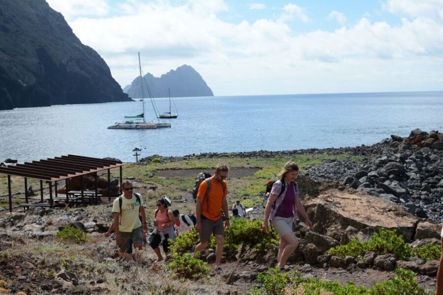 Desertas Islands Full-Day Catamaran Trip from Funchal - Water Activities and Scenic Moments