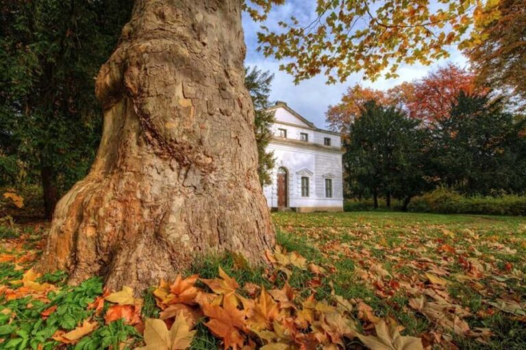 Dessau: In the footsteps of Paul Klee - Who Will Benefit Most?