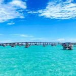 Destin Crab Island Tour in Catamaran - Who Will Love This Tour?