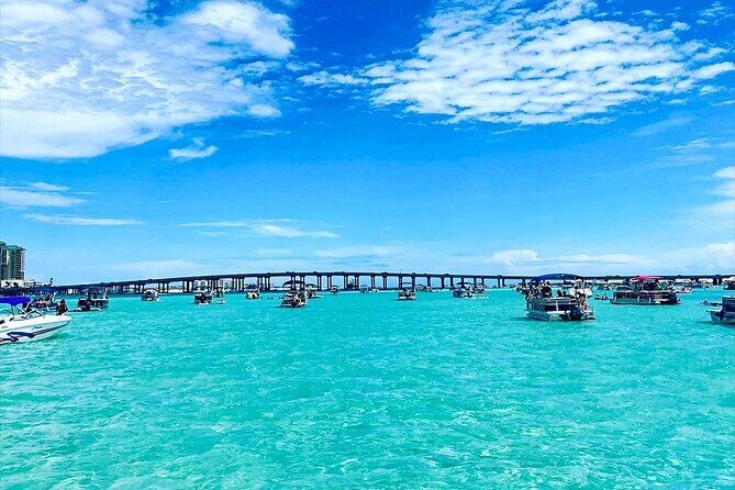 Destin Crab Island Tour in Catamaran - Who Will Love This Tour?