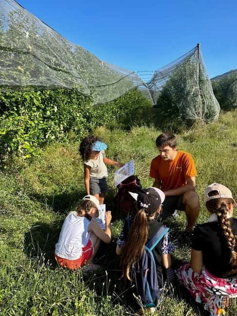 Detective Club: a nature investigation game for the whole family!