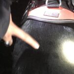 Devil's Hour Investigation - Small Group Gettysburg - Final Thoughts