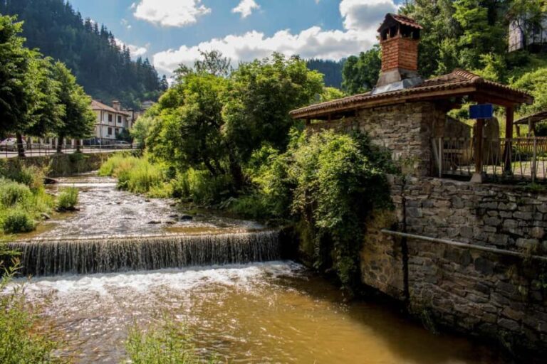 Devin Spa & Rhodope Mountains: 9-Day Wellness & Nature Tour - Real Experiences & Insights from Travelers