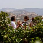 Di Giovanna Winery Tour & 3 Wine Tasting - The Wines and Food: What Youll Enjoy