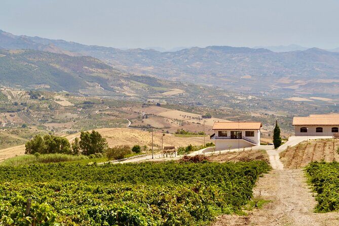 Di Giovanna Winery Tour & 5 Wine Tasting - The Value of the Price