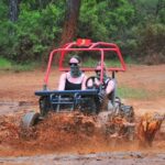 Didim Buggy Safari Tours W/ Return Transfers - The Experience: What You Can Expect