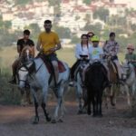 Didim Horse Safari - What to Expect from the Didim Horse Safari