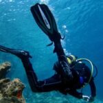 Didim: Scuba Diving Experience w/Hotel Pickup & Lunch - The Reality Check: What Do the Reviews Say?