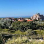 Digital Private Scavenger Hunt and Tour on Norderney Island - Final Thoughts: Who Is This Tour Best For?