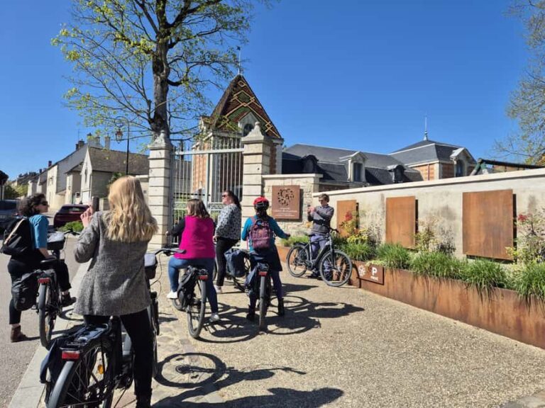 Dijon/Beaune: Full day Ebike Burgundy tour, tastings & lunch - The Cycling Experience: What to Expect on the Bike Trail