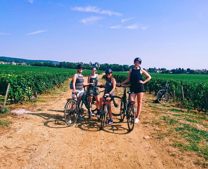 Dijon: Bike tour and Tastings in the Vineyards of Burgundy - The Value of the Experience