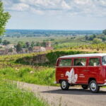 Dijon: Burgundy Small-group Vintage Van Tour - The Vintage Van – Charm and Practicalities