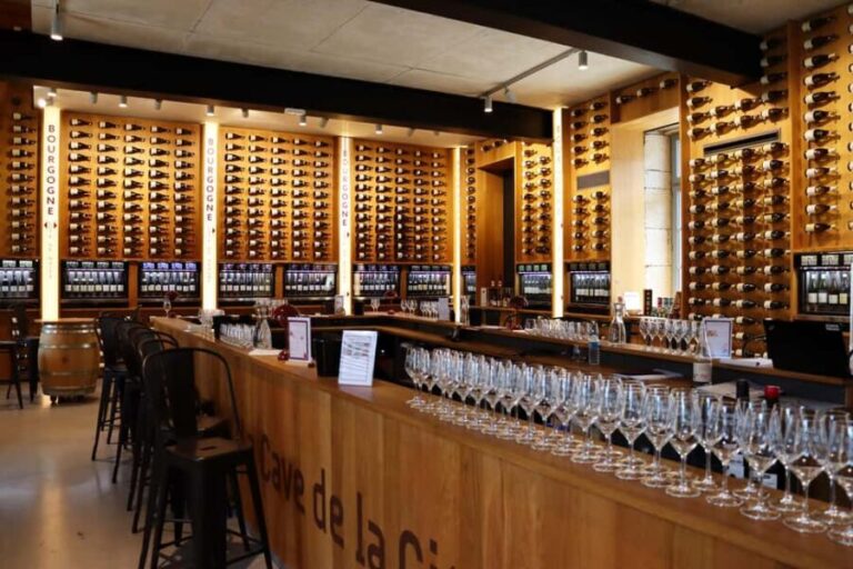 Dijon: Walking tour of the metropolitan vineyards - In-Depth Look at the Itinerary