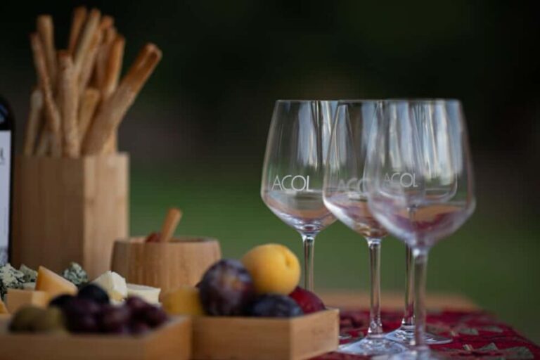 Dilijan: Armenian Wine Tasting at ACOL Ethnic Manor - What Travelers Say