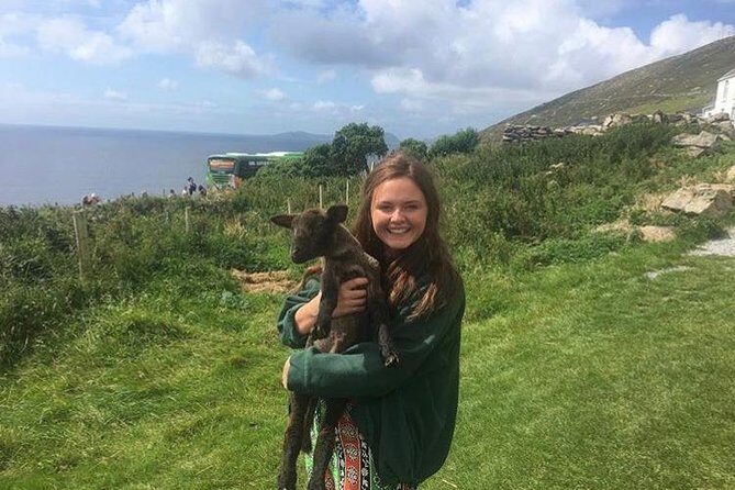 Dingle Peninsula Day Tour from Limerick: Including The Wild Altanic Way - Considerations and Drawbacks