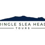 Dingle To Shannon Airport Private Chauffeur Transfer - What Travelers Say