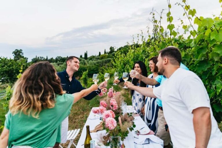 Dinner in the vineyard French Riviera - In-Depth: Is It Worth It?