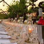 Dinner in the Vineyards - How Does It Compare to Other Experiences?