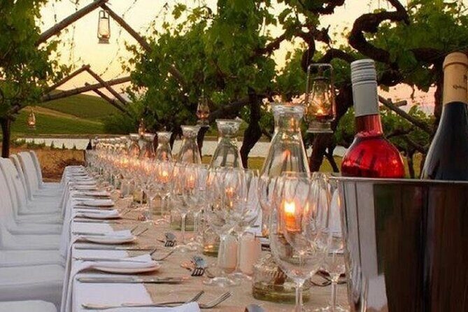Dinner in the Vineyards - How Does It Compare to Other Experiences?