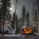 Dinner with Northern Light hunt in Rovaniemi - What Travelers Say: Authentic Perspectives