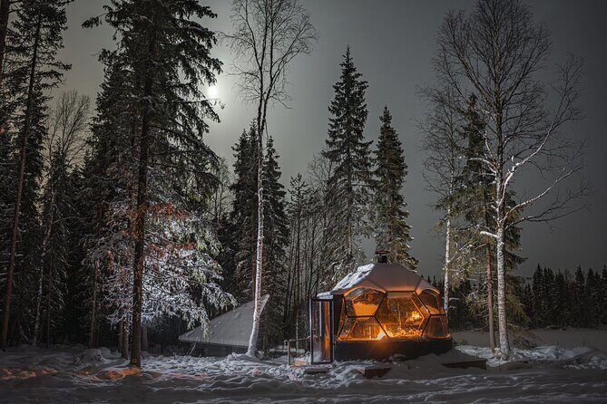 Dinner with Northern Light hunt in Rovaniemi - What Travelers Say: Authentic Perspectives