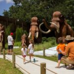 Dinosaur World Theme Park - The Overall Experience