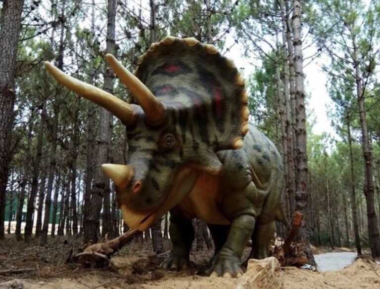 Dinosaurs Park - Family Half day tour - The Details That Matter