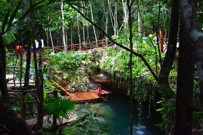 Discover 3 amazing cenotes. Includes transport & snack - What Travelers Are Saying