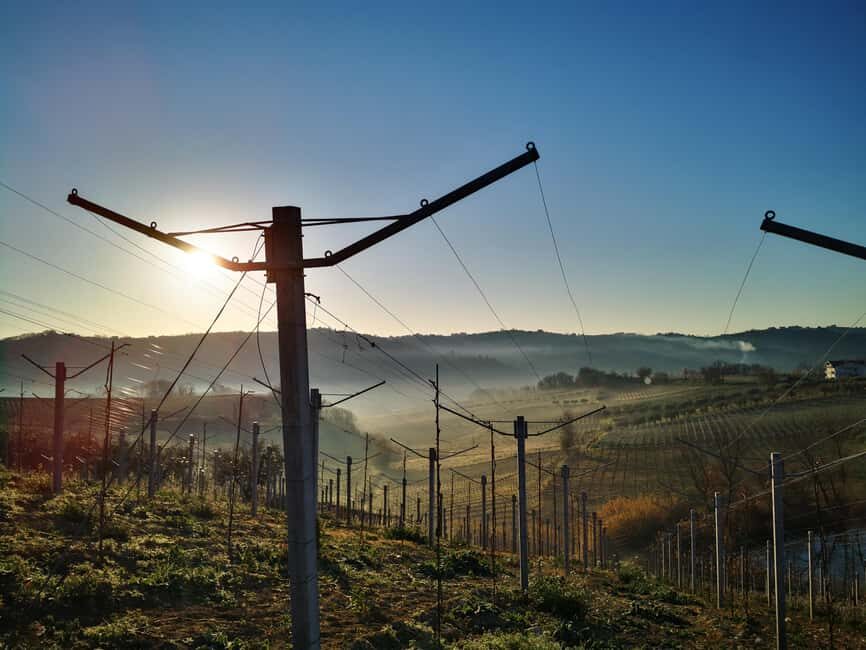 Discover Abruzzo and Castelferrato: Visit Vineyards and Wine Tasting - Who Will Love This Tour?
