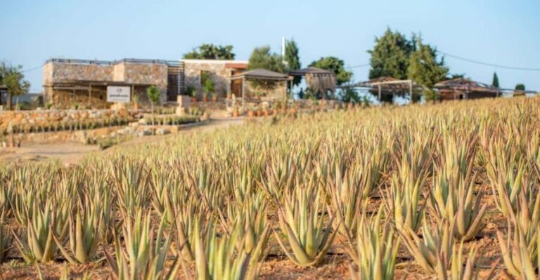 Discover Aloe: A Farm Walk & Workshop - The Farm & the Guides