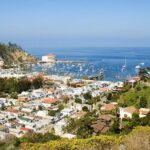 Discover Avalon: Catalina Scenic Tour - The Value for Money