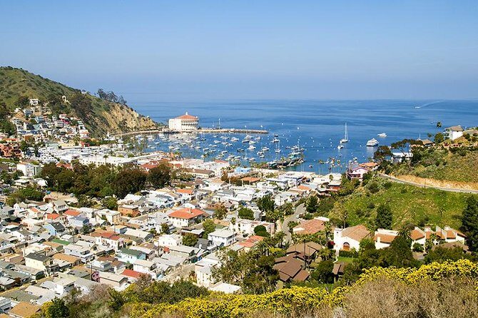 Discover Avalon: Catalina Scenic Tour - The Value for Money
