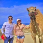 Discover Cabo San Lucas by camel ride - Authentic Insights from Travelers
