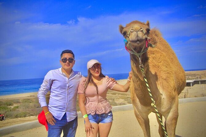 Discover Cabo San Lucas by camel ride - Authentic Insights from Travelers