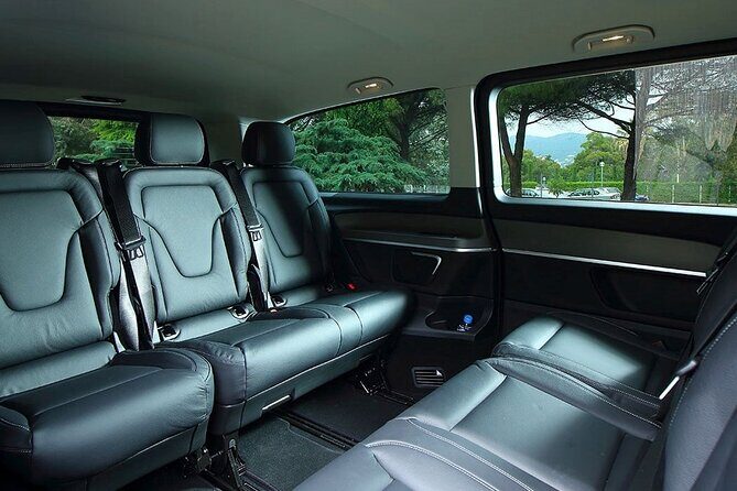 Discover Cassis from Marseille Cruise Port or Hotel by Luxury Van - Who Will Find This Tour Most Useful?