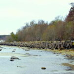 Discover Estonia-car tour from Tallinn to Keila-Joa Waterfal - A Closer Look at the Tour Experience