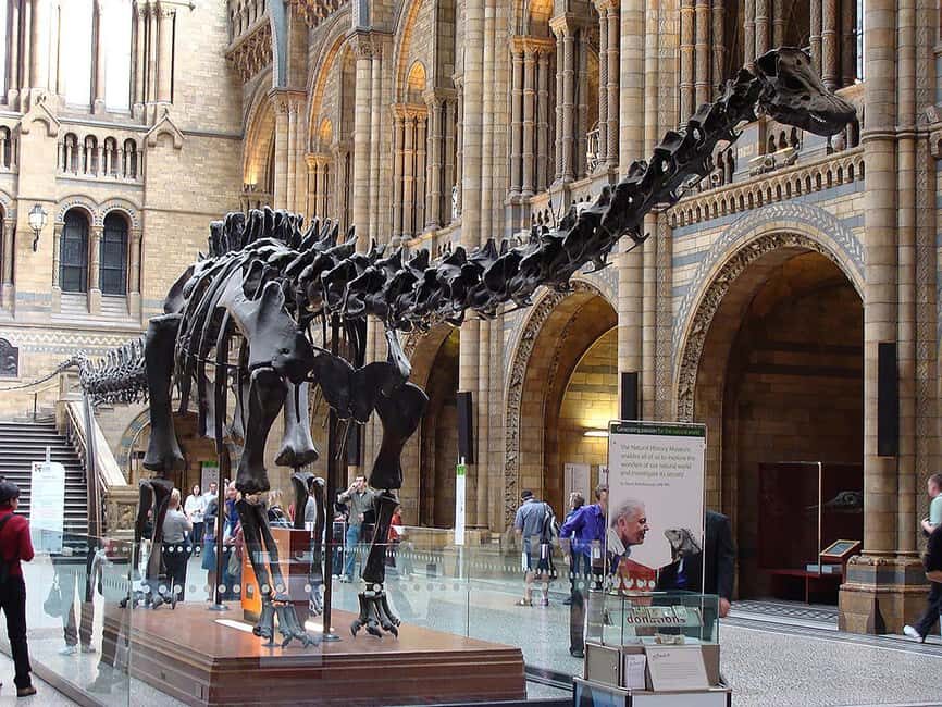 Discover Evolution at the Natural History Museum - The Practicalities: Booking, Timing, and Experience