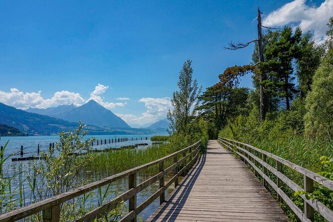 Discover Interlakens most Photogenic Spots with a Local - What Tour Guides Bring to the Table