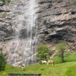 Discover Lauterbrunnen with Cheese & Chocolate Tasting Tour - Food and Cultural Highlights: Cheese & Chocolate Tasting