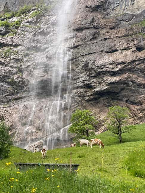 Discover Lauterbrunnen with Cheese & Chocolate Tasting Tour - Food and Cultural Highlights: Cheese & Chocolate Tasting